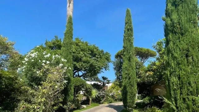 Villa Saint Georges - Cannes