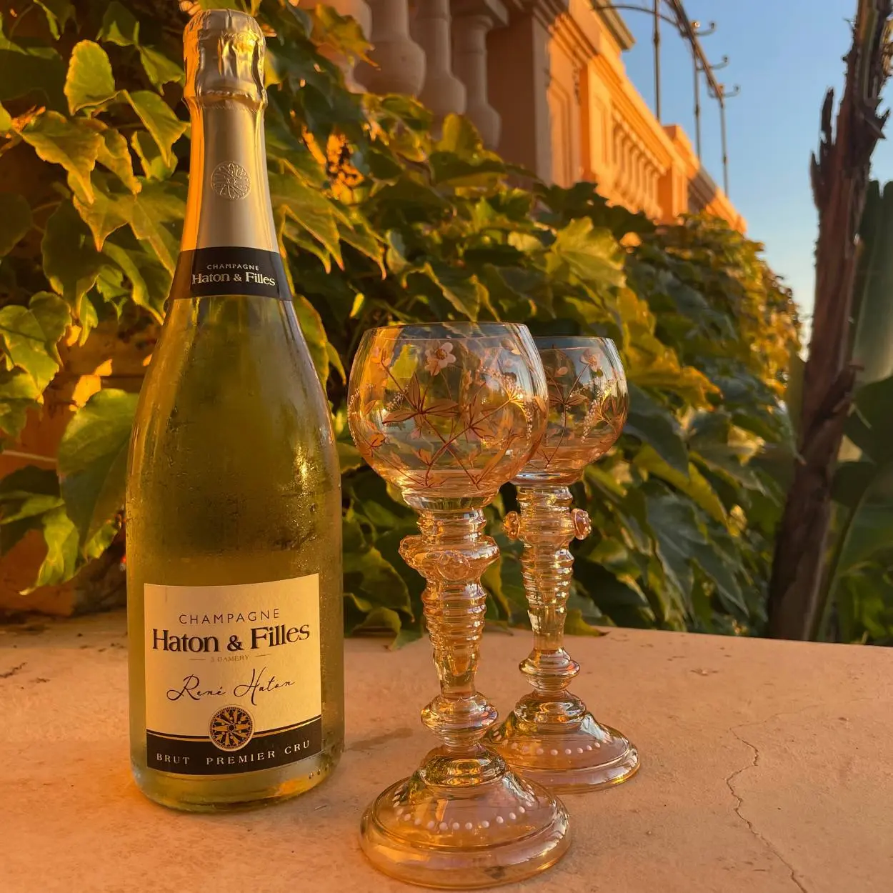 Villa Saint Georges - Cannes