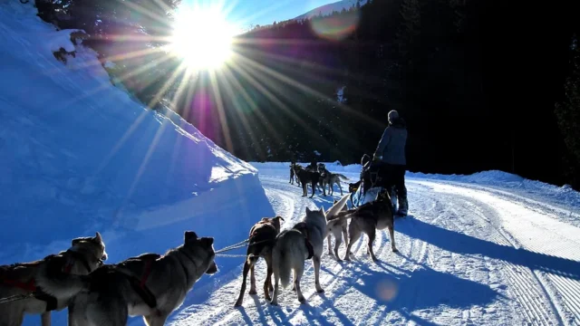 Courchevel Aventure