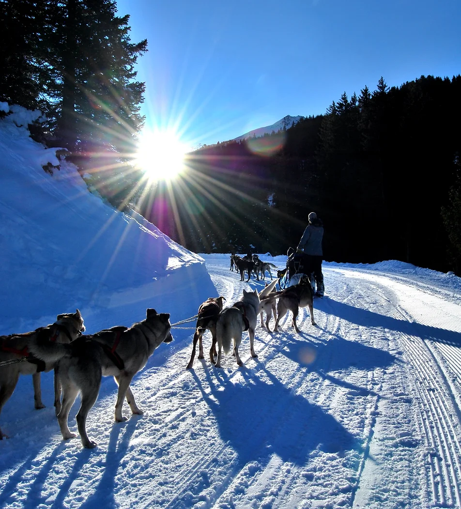 Courchevel Aventure