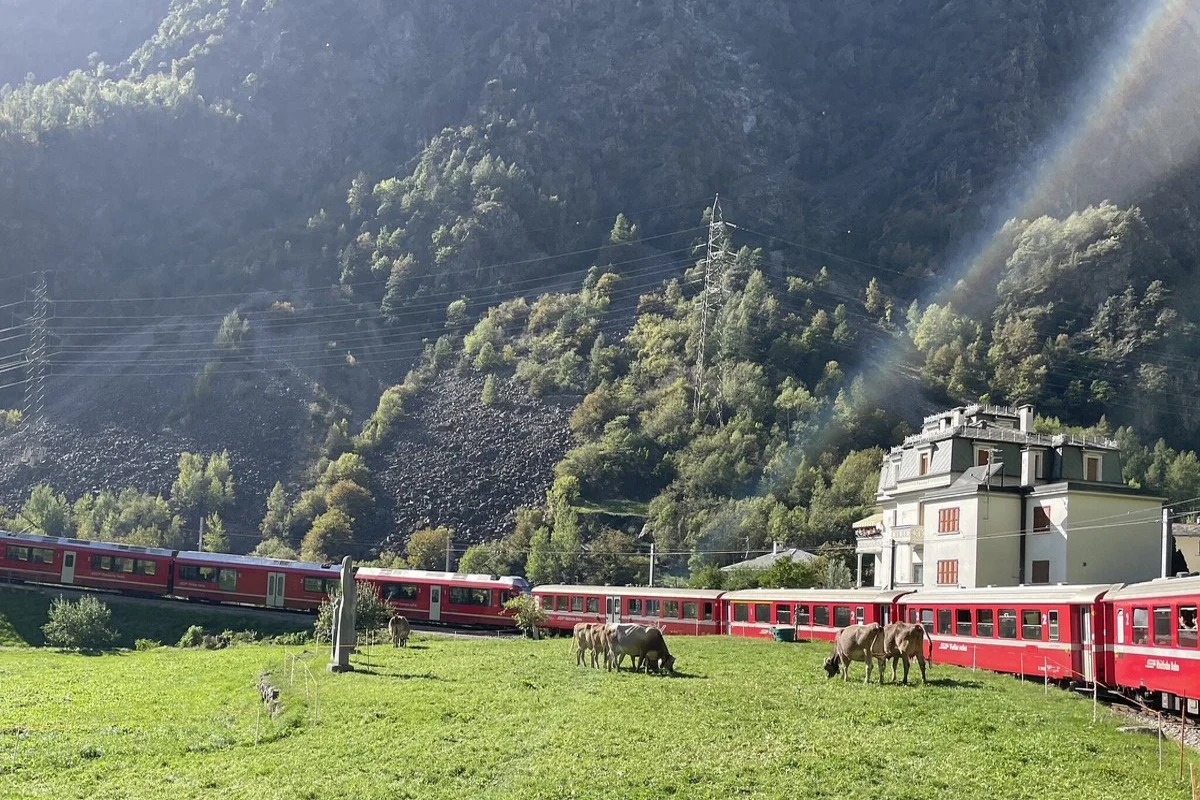 Bernina Scenic Train ride on the Swiss Alps. Small-Group Tour