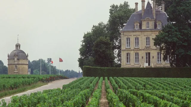 Château Latour. Grand Cru Wine in Bordeaux (France)