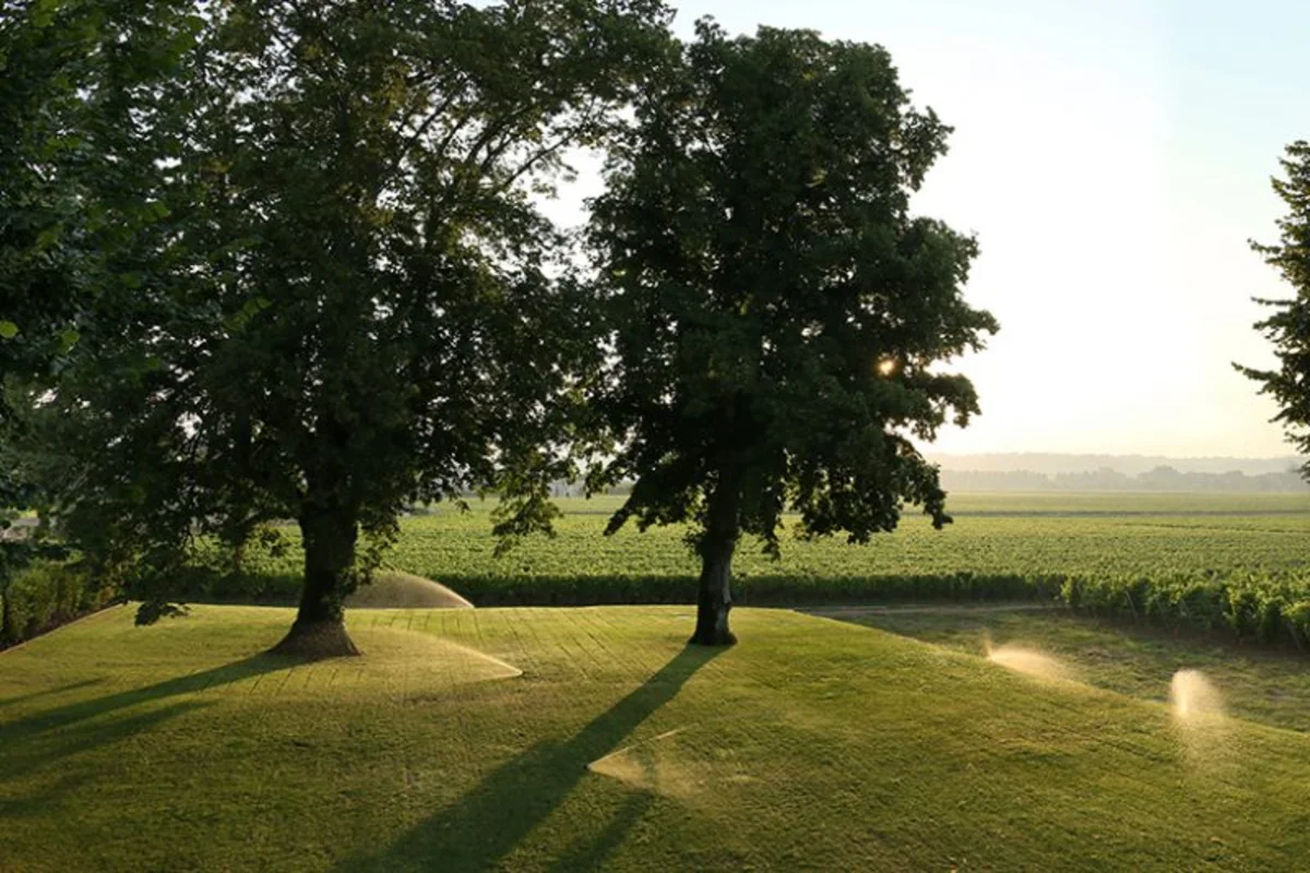 Château Doisy Daëne, Barsac