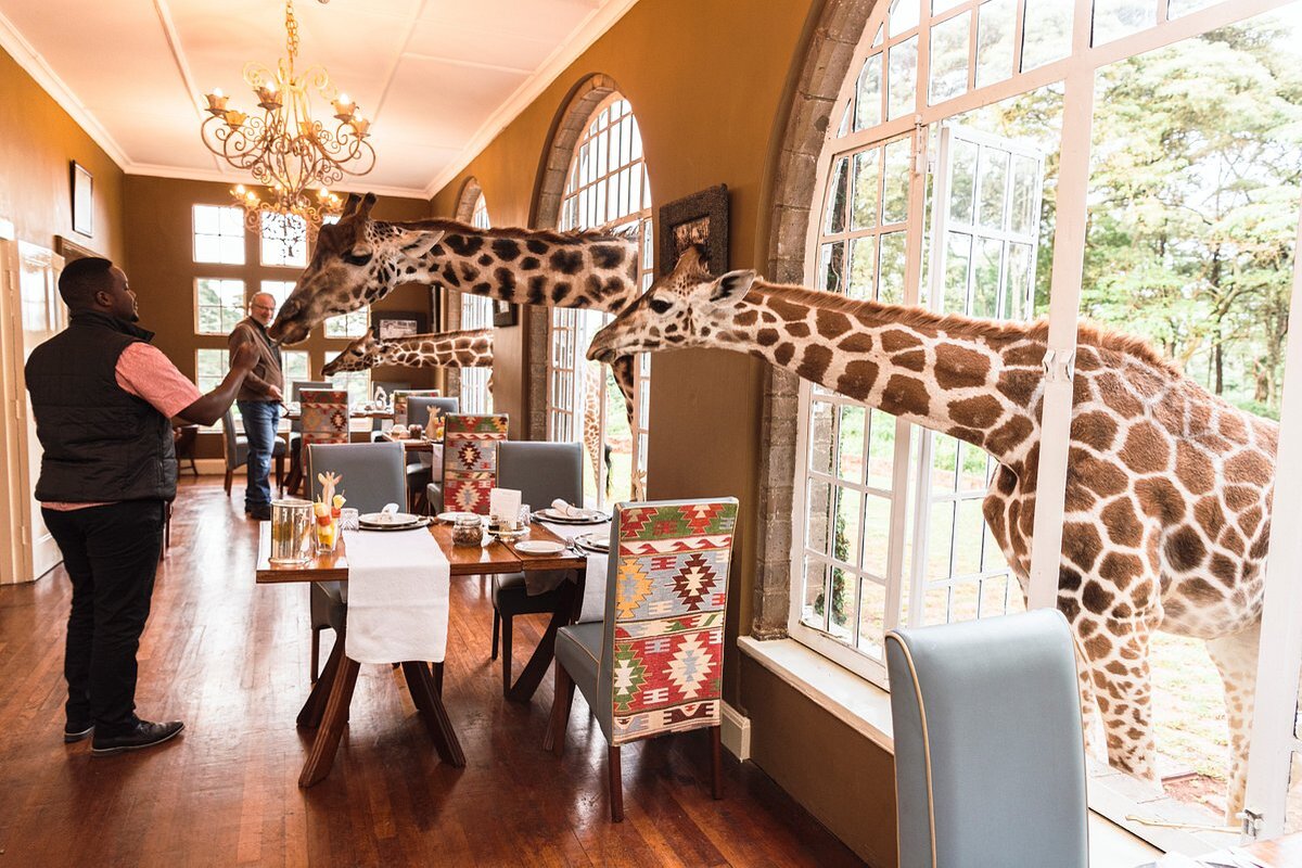 Giraffe Manor