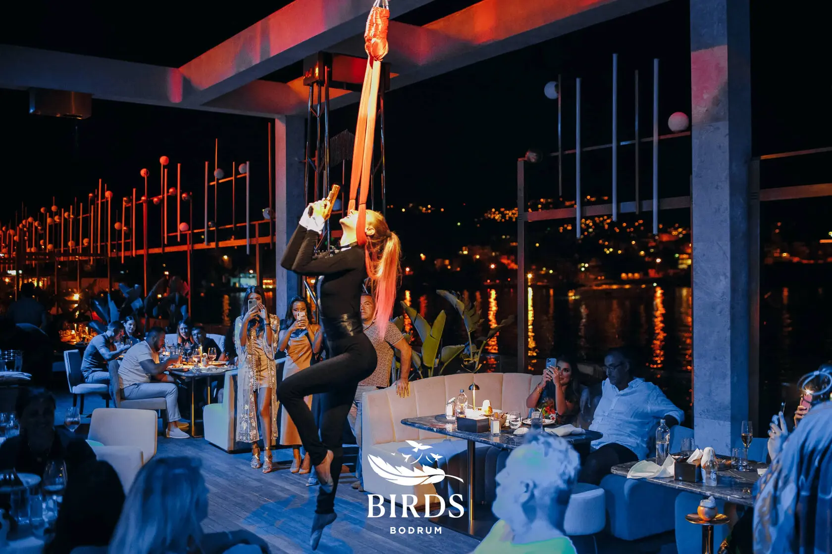 Birds Bodrum