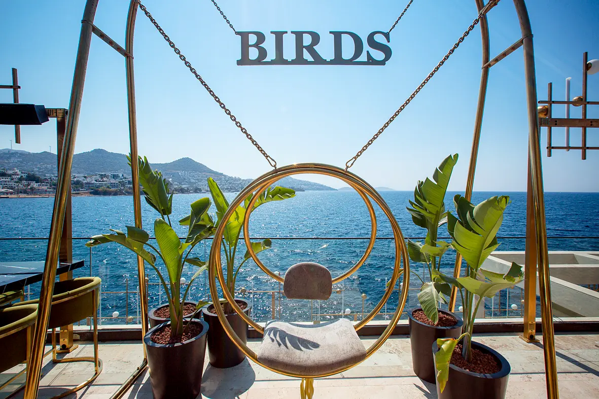 Birds Bodrum