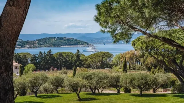 Villa Saint-Tropez, Les Parcs