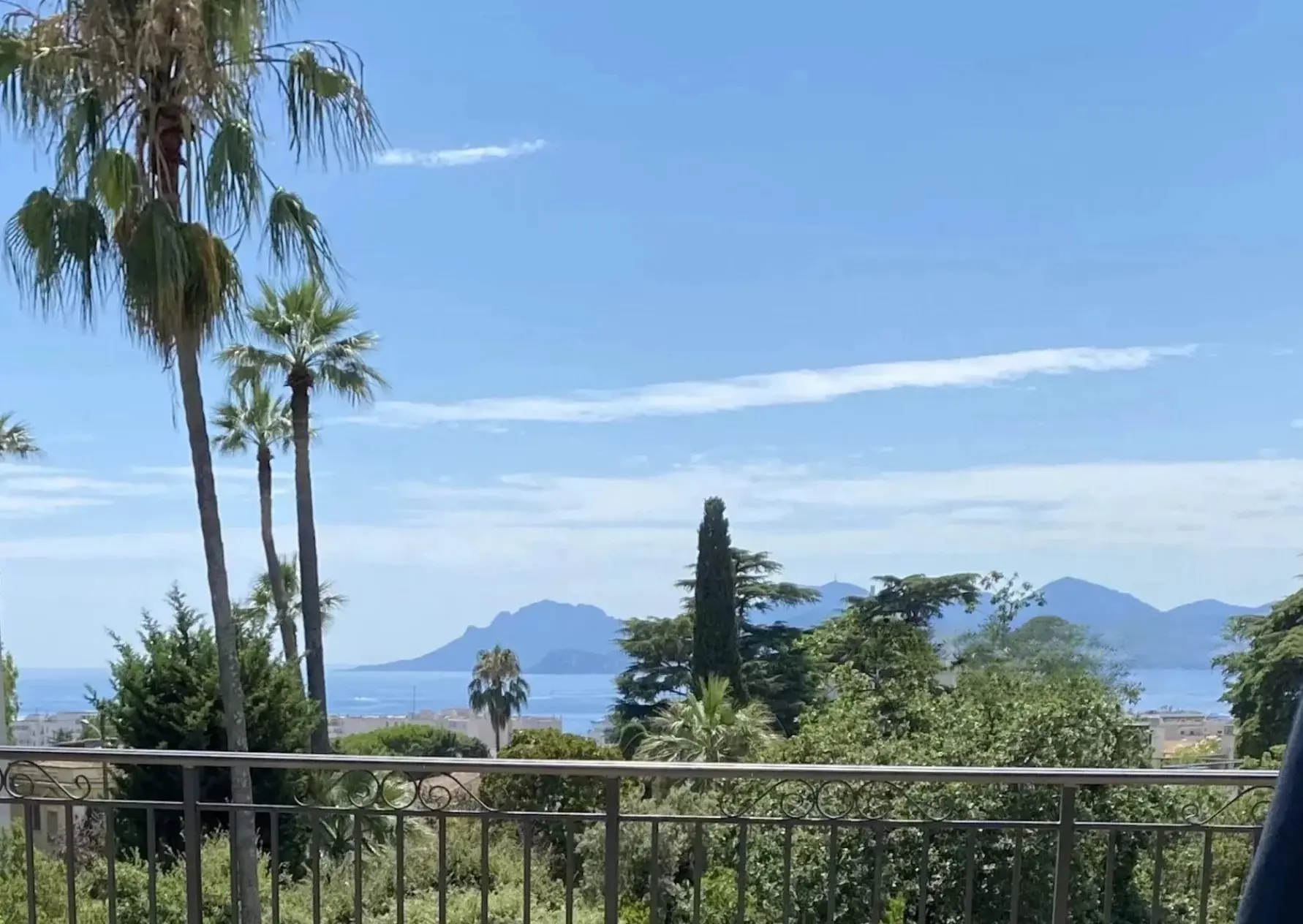 Villa Mansion Cannes