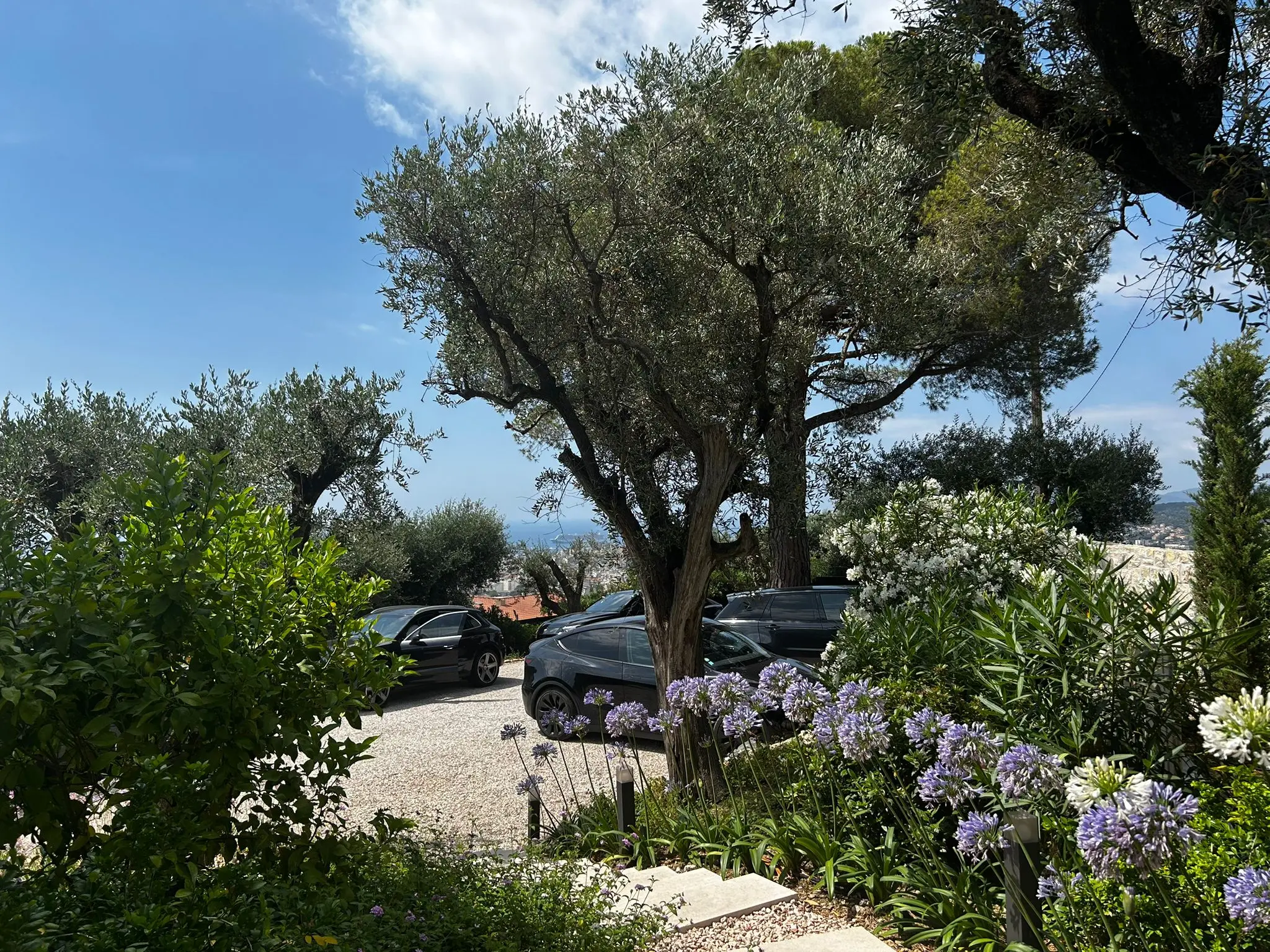Villa Romance Cannes