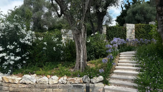 Villa Romance Cannes