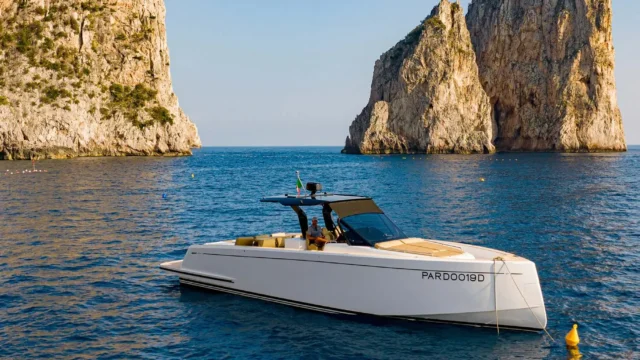 Pardo