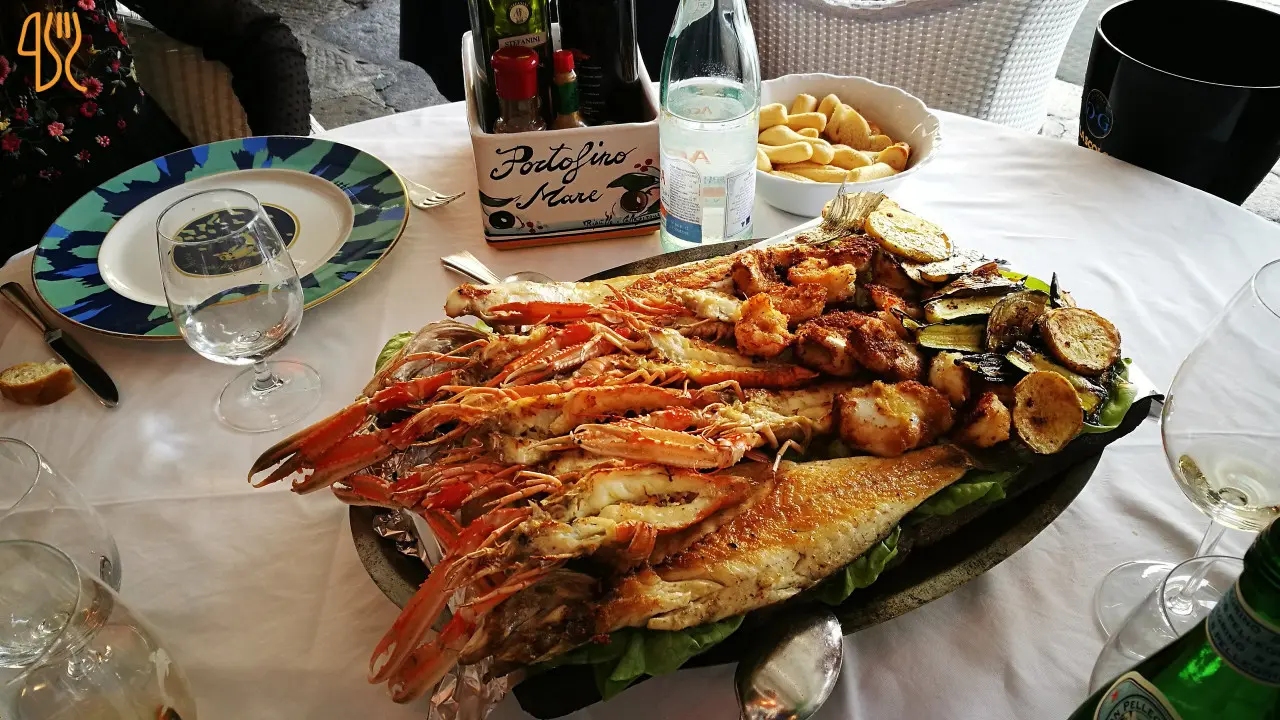 Delfino Portofino
