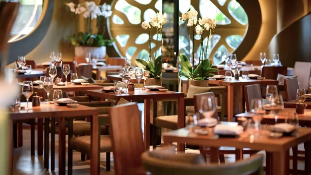 Novikov Ibiza