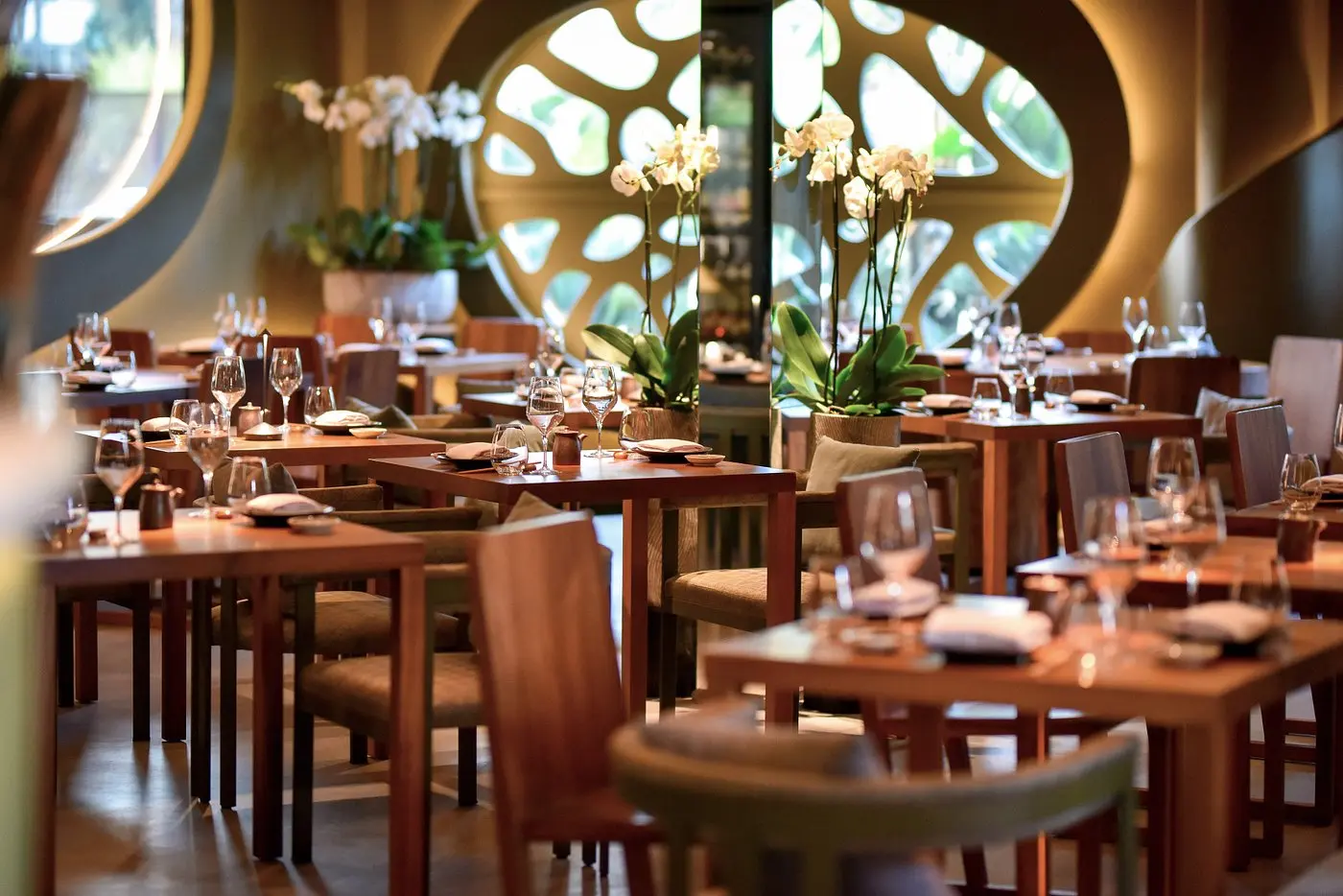 Novikov Ibiza