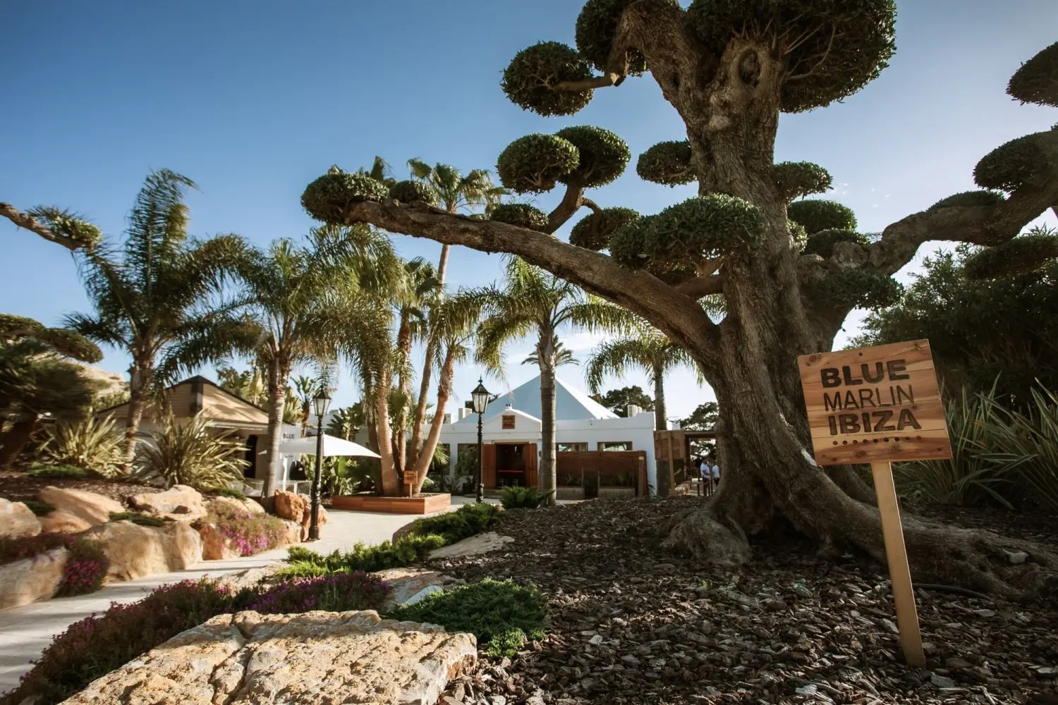 Blue Marlin Ibiza