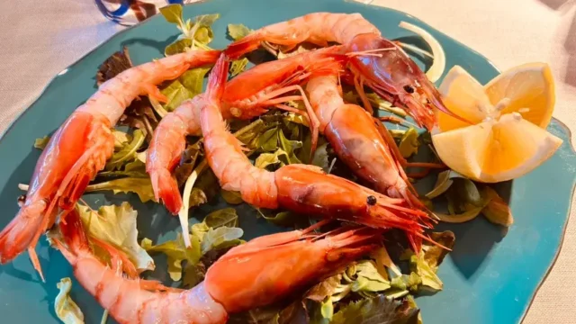 Lo Stella Portofino