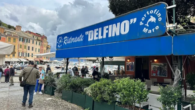 Delfino Portofino