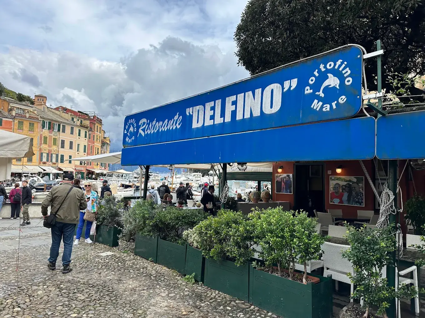 Delfino Portofino