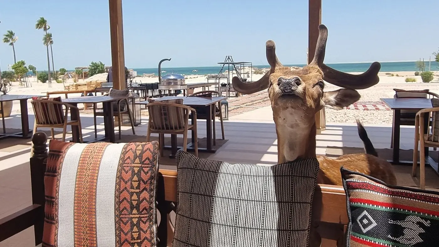 Our Habitas Ras Abrouq