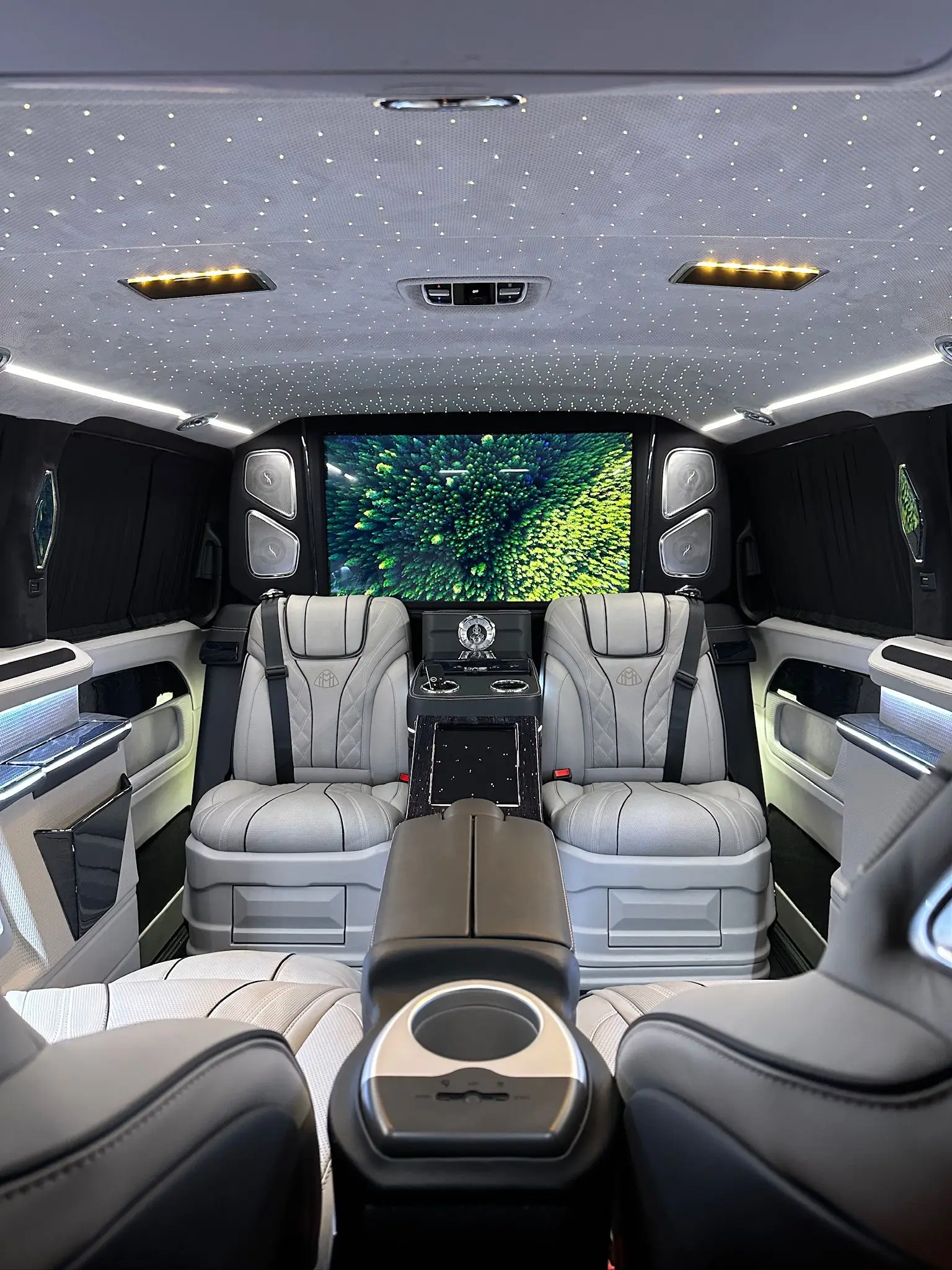 Mercedes-Benz V-Class VIP