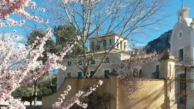 House for sale in Alicante
