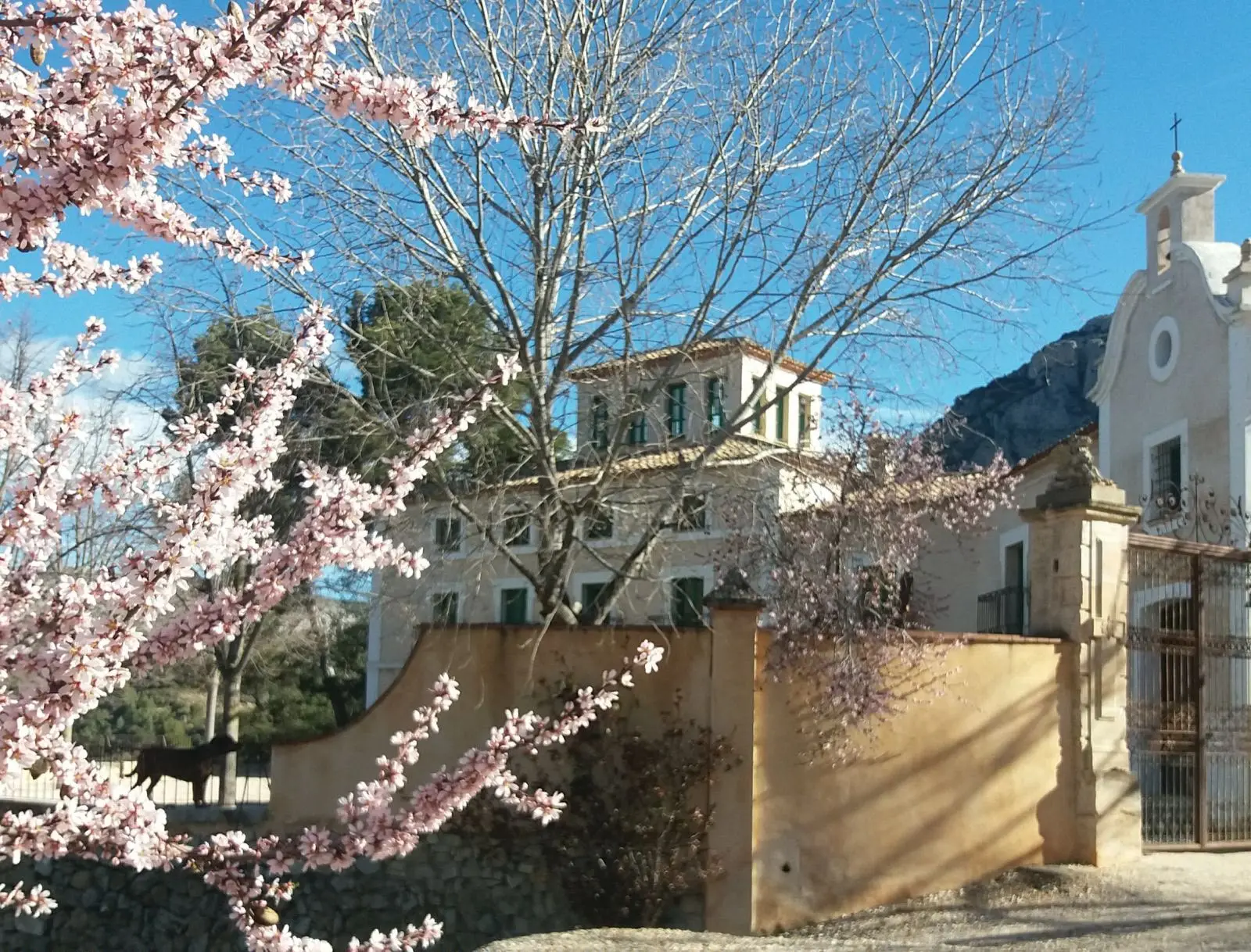House for sale in Alicante