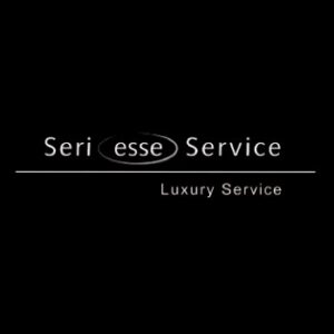 Profile photo of SeriesseService