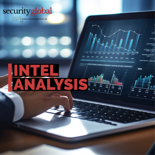 Services-4-intel analysis